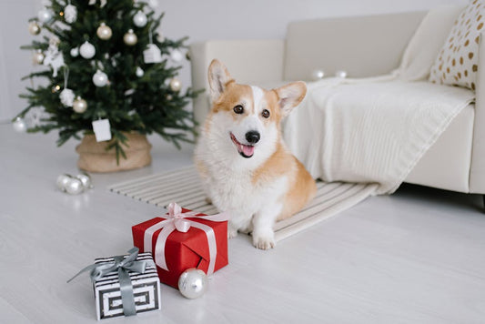 5 Unique Customizable Gifts for Pet Lovers